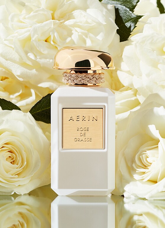 Rose de Grasse