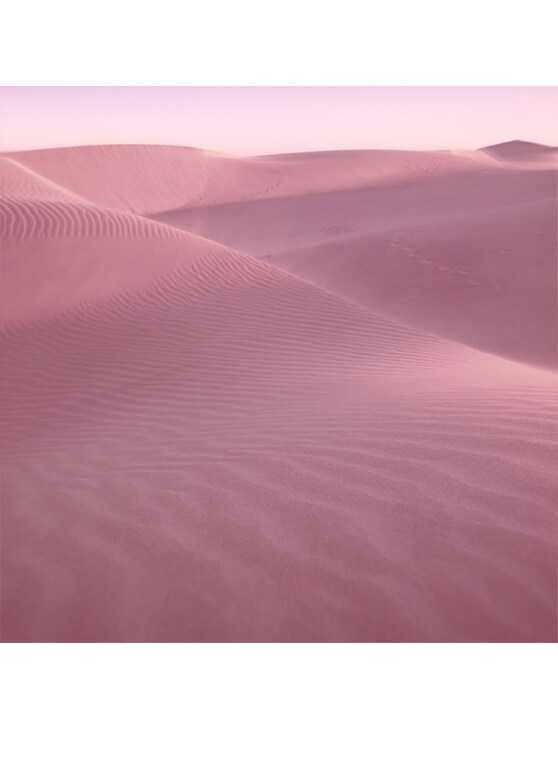Desert Eden