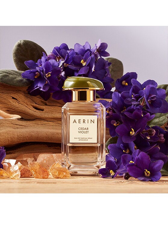 Cedar Violet