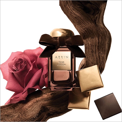 photo of AERIN holiday beauty gifts aerin rose cocoa