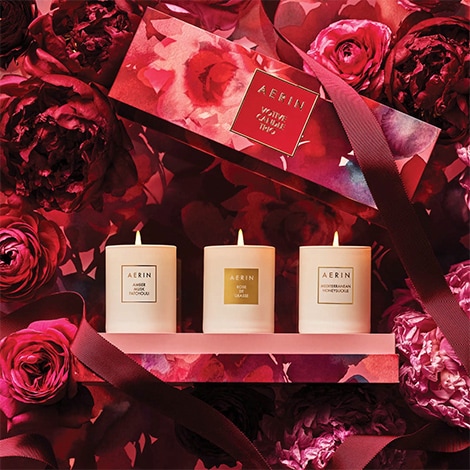 aerin holiday beauty gift