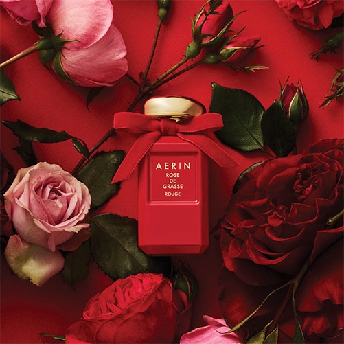 aerin rose de grasse rouge