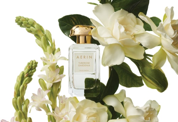 aerin tuberose gardenia
