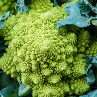 unique fruits and veggies