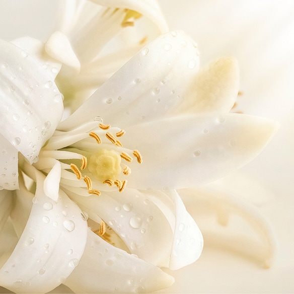 Power up your skincare